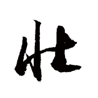 壮（汉语文字）_百度百科