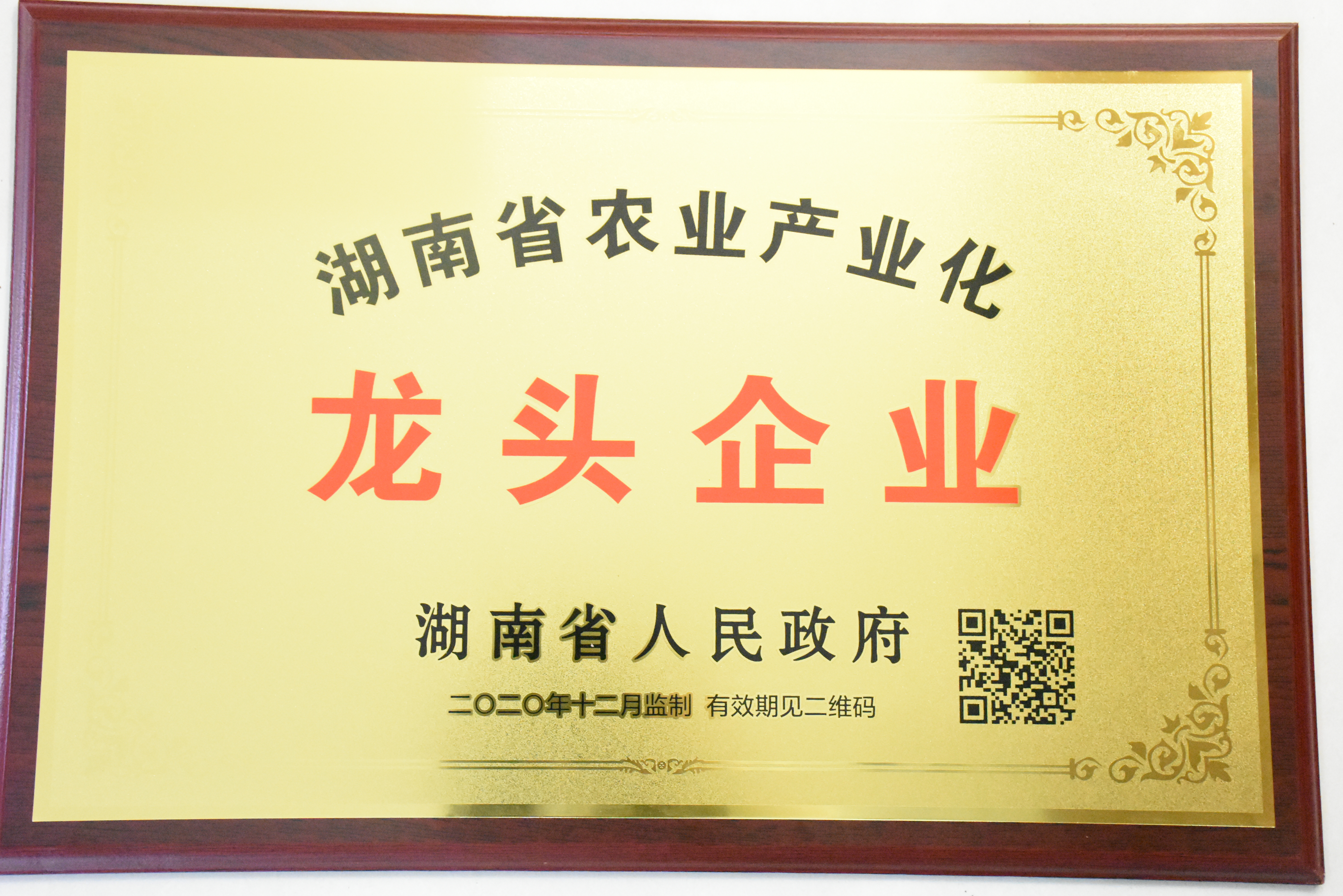 位于攸县高新区,是集油茶的科研,种植,生产及销售于一体的湖南省农业