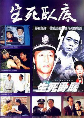 (简)中凯文化生死卧底二十五集电视连续剧(dvd)