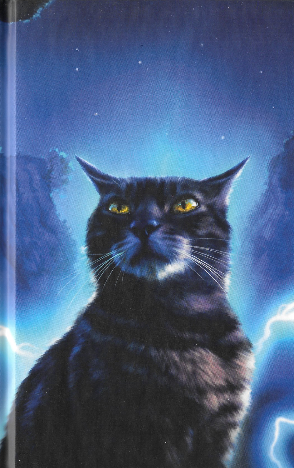 艾琳·亨特作品《 a target="_blank" href="/item/猫武士/4739018"