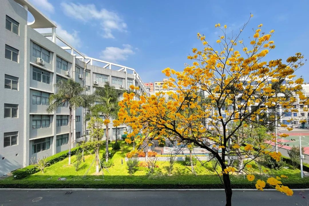 光明区高级中学