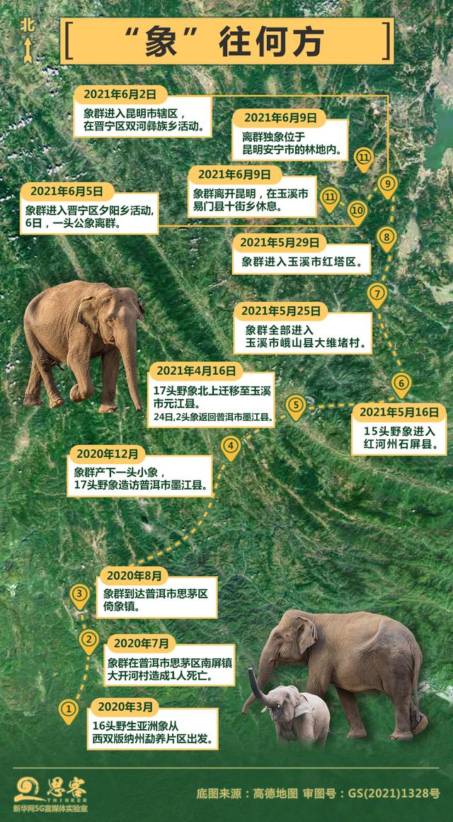 是指云南野象群集体北迁并返回事件