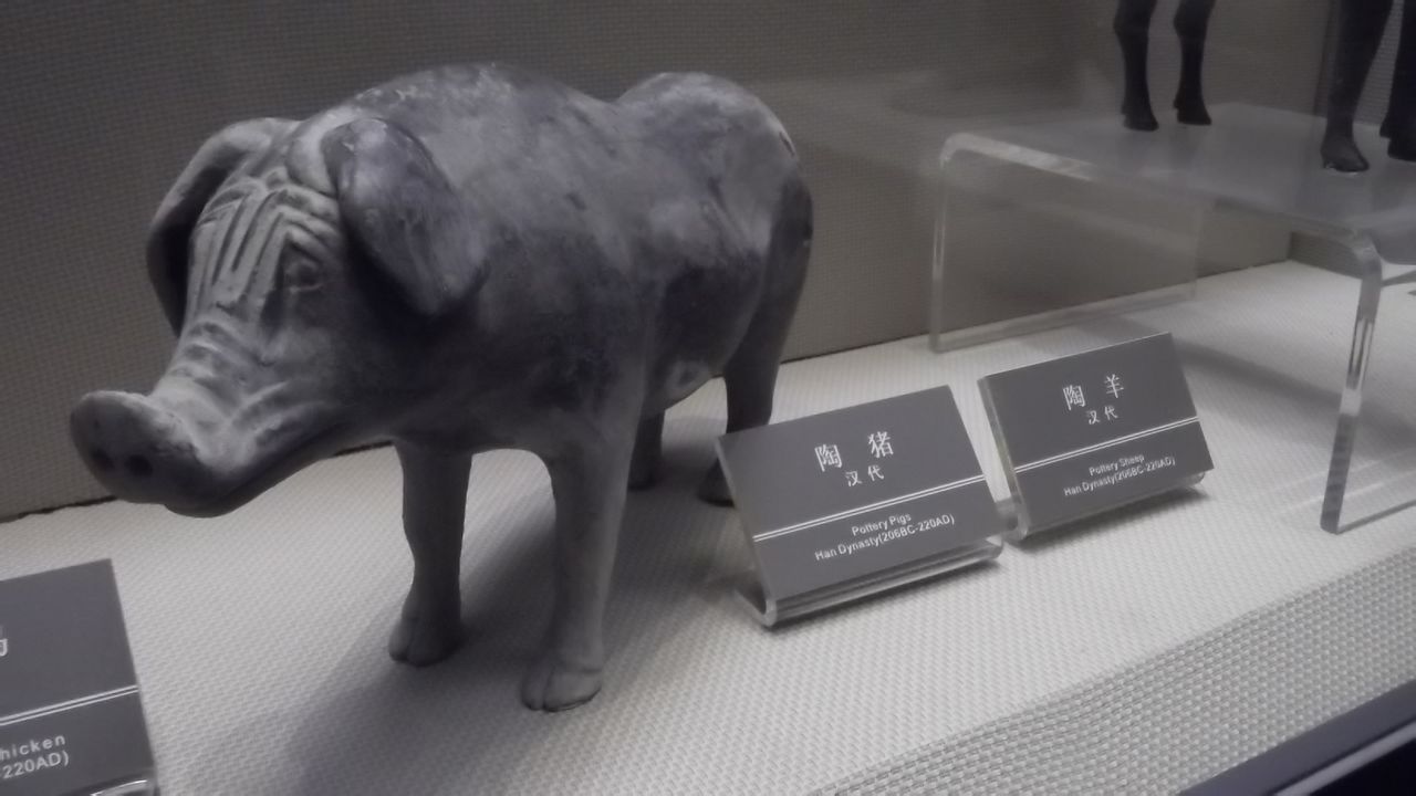 河姆渡陶猪 新石器时代河姆渡文化