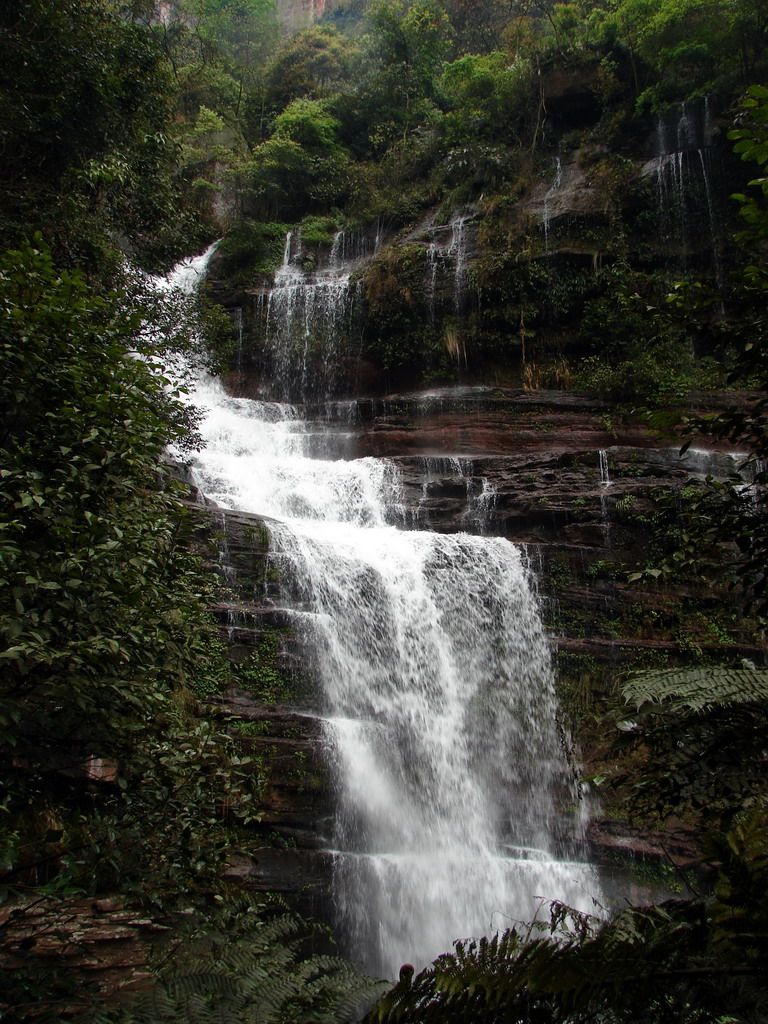 四川画稿溪国家级自然保护区