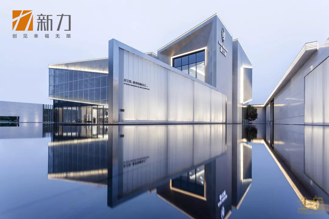 新力地产集团有限公司