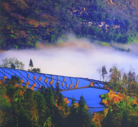 金平苗族瑶族自治县