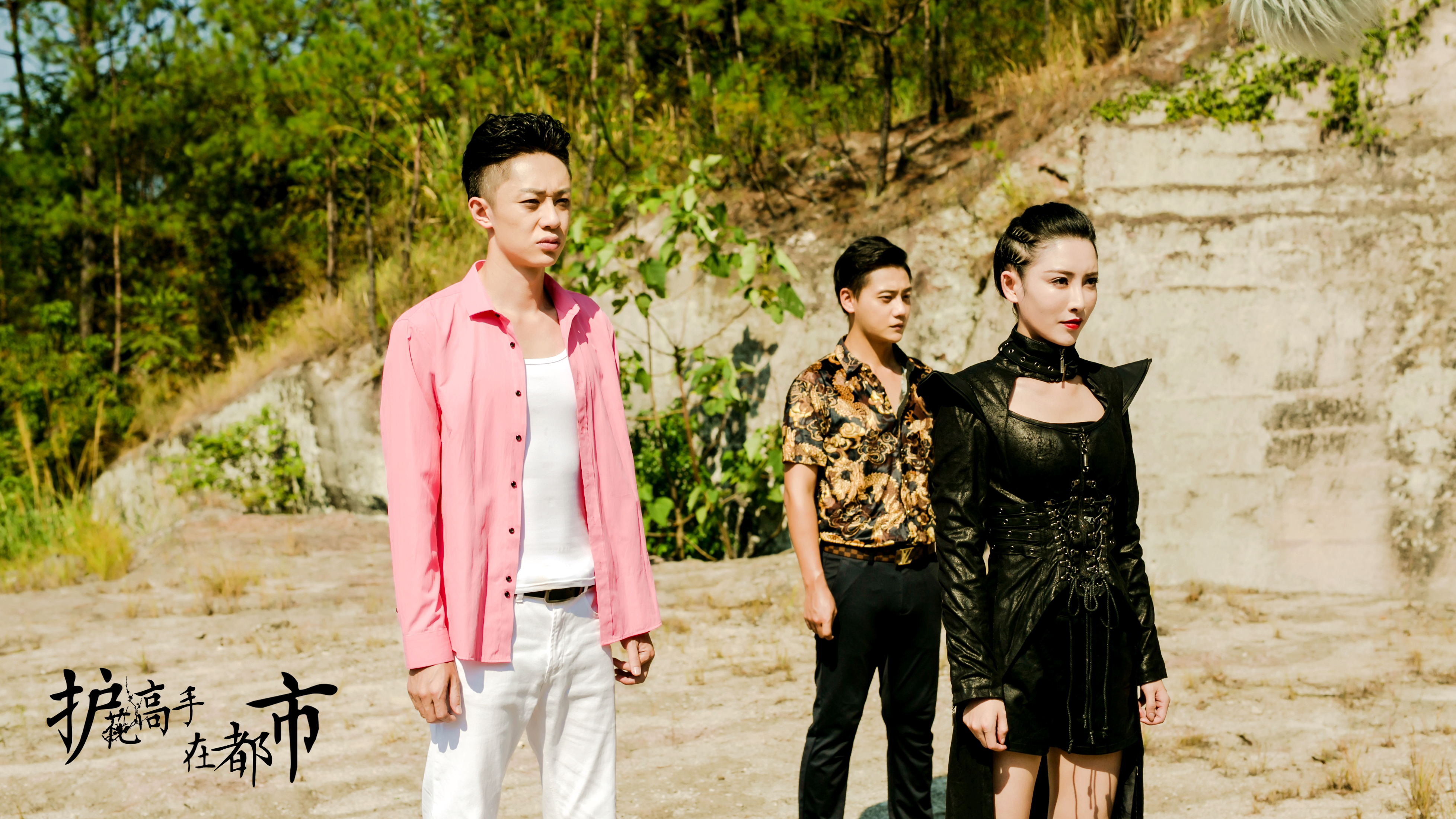 护花高手在都市