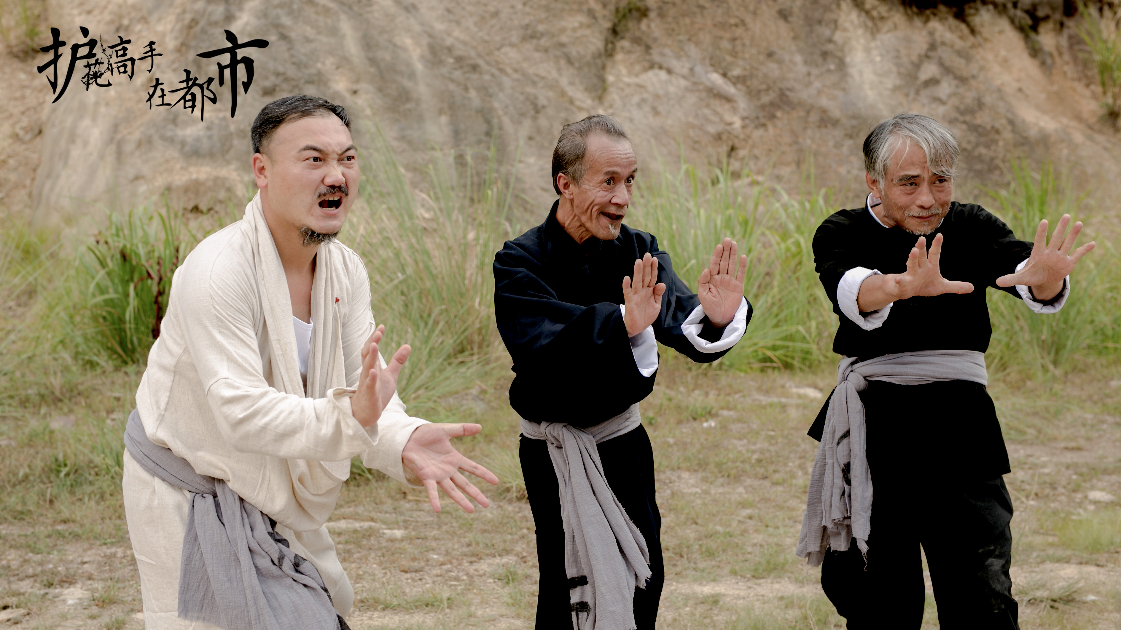 护花高手在都市