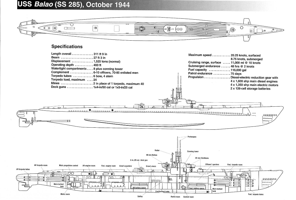 1i9b6">小鲨鱼级潜艇是 a target="_blank" href="/item/二战/497841"