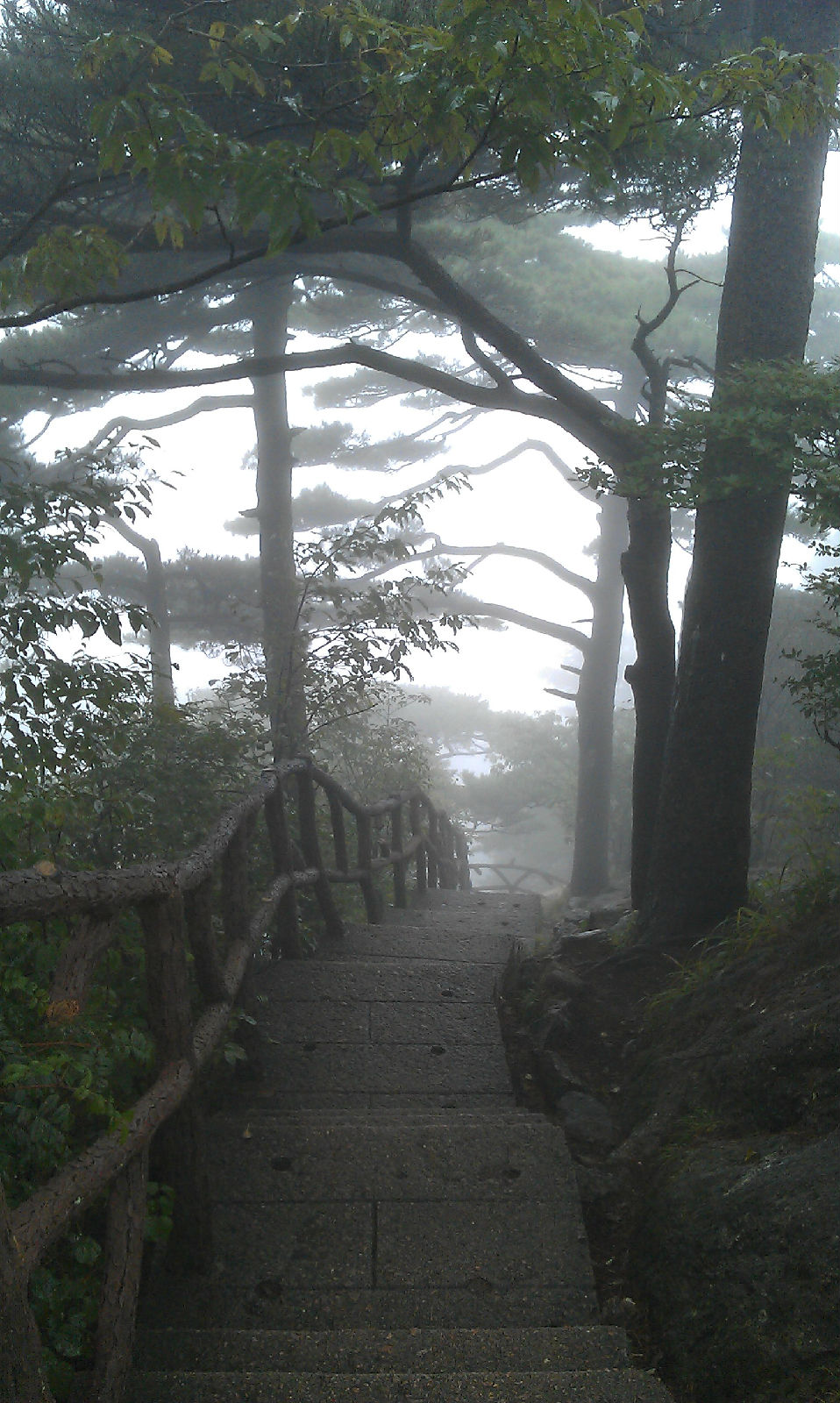  p>西海大峡谷:因谷中有白云溪,又称"白云谷".