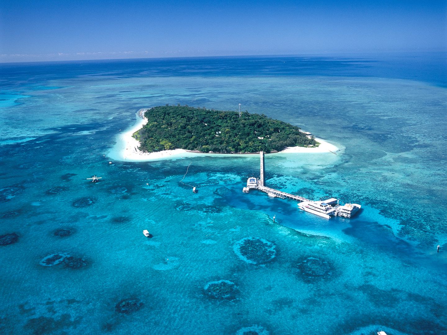  p>大堡礁(英文:the great barrier reef,法文:grande barrière de