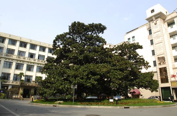 社会科学院上海