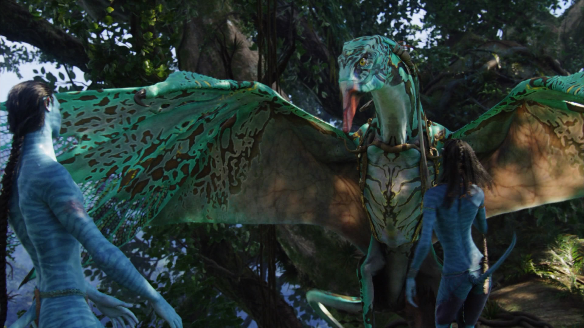  p>《阿凡达》 i>(avatar) /i>是一部由 a target="_blank" href="