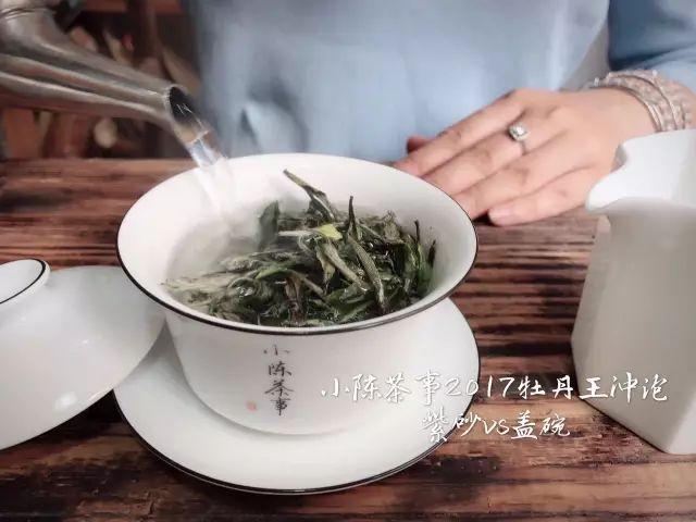 注水和出汤，一泡白茶的生死场！_百科TA说