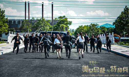 美女总裁与特种兵