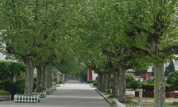  p>江苏省沭阳高级中学(shuyang highschool of jiangsu province)