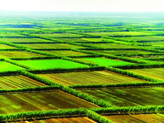 主要作用是防止风,沙等自然灾害,调节水分和气温,防止土壤流失. /p></p></a>