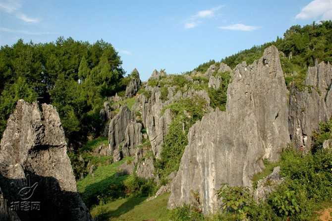 长坝石林