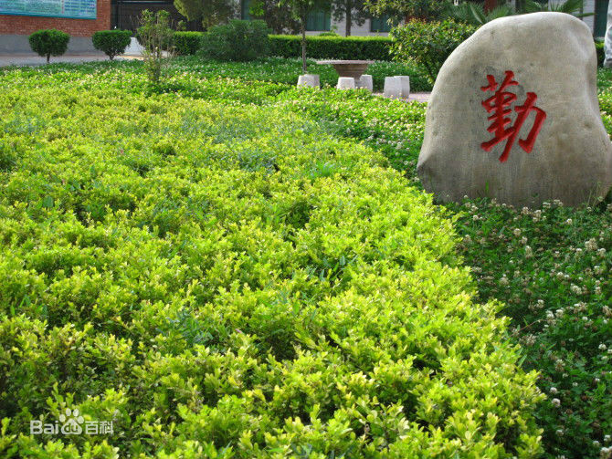 陕西省凤翔中学