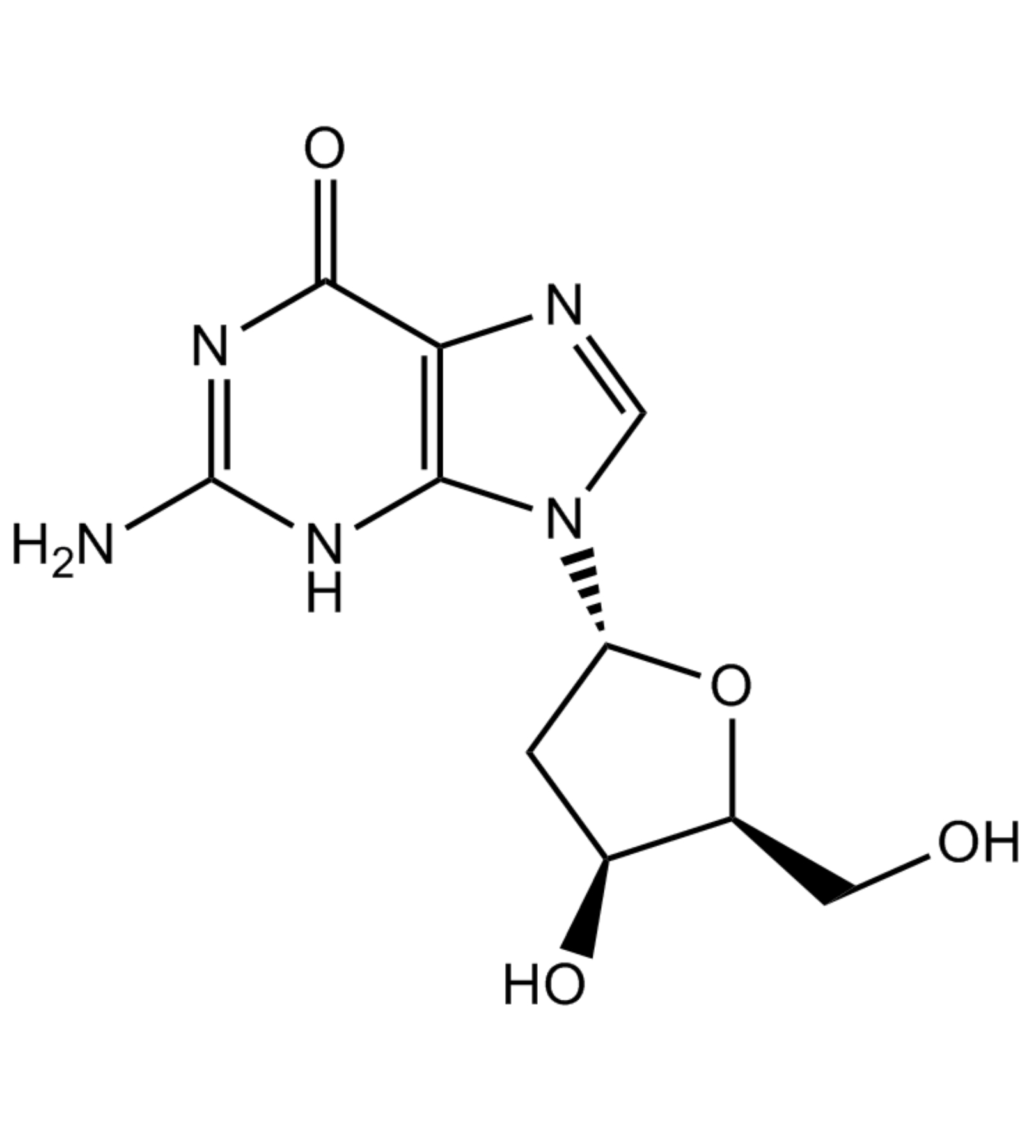 可由dna分子水解形成的脱氧鸟嘌呤核苷酸继续水解形成 /p>