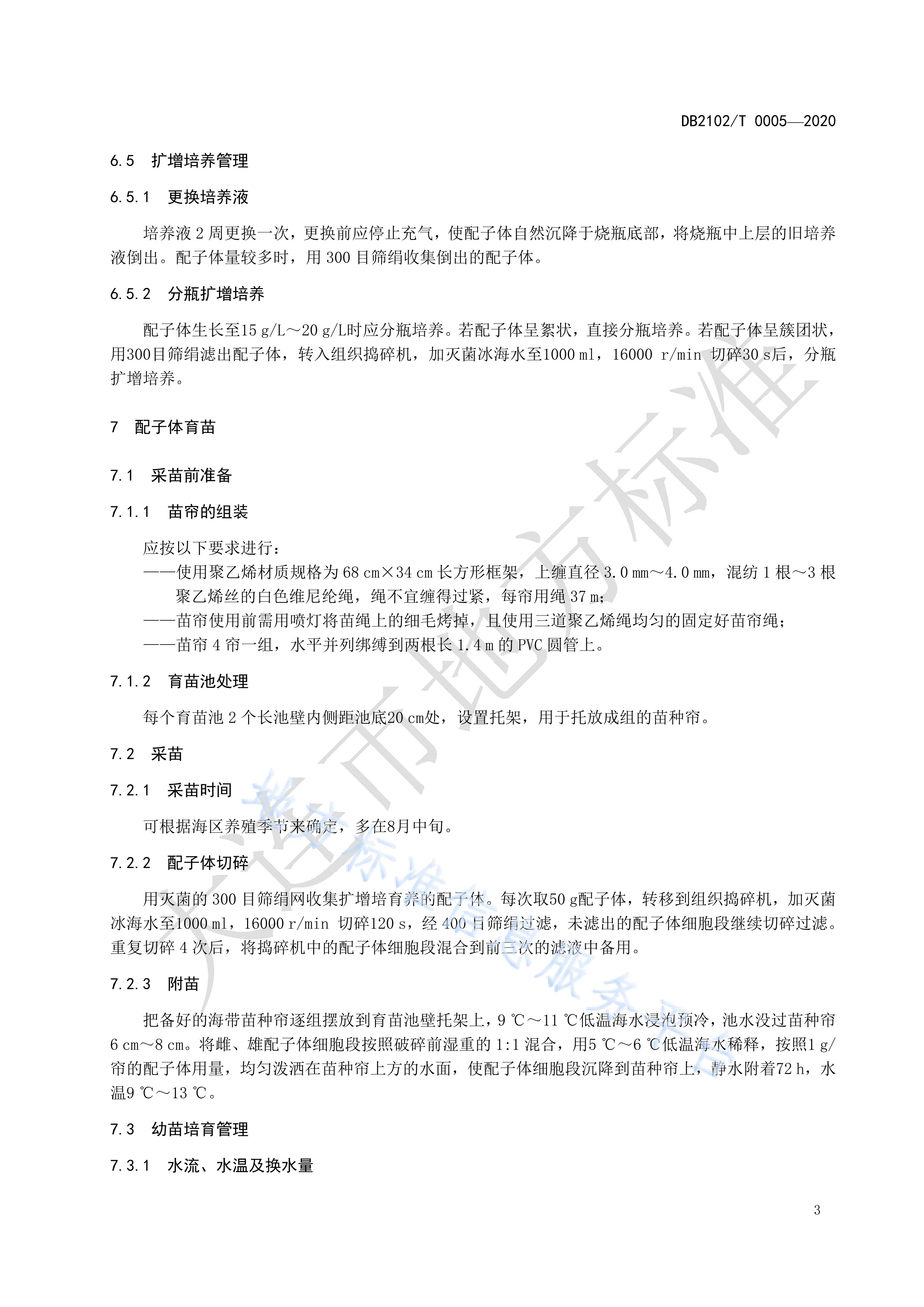 海带配子体采苗及育苗技术规程