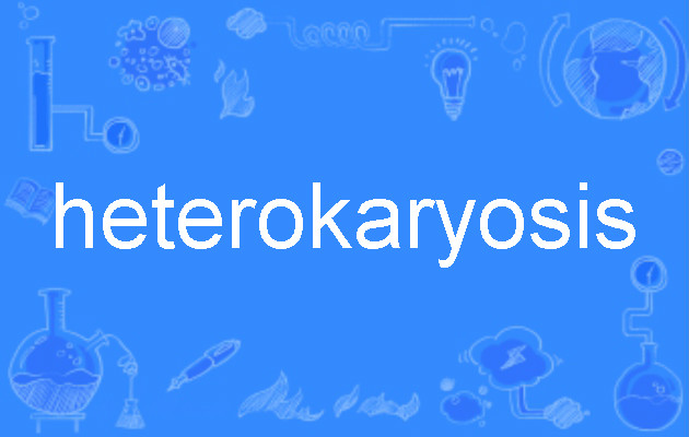 heterokaryosis