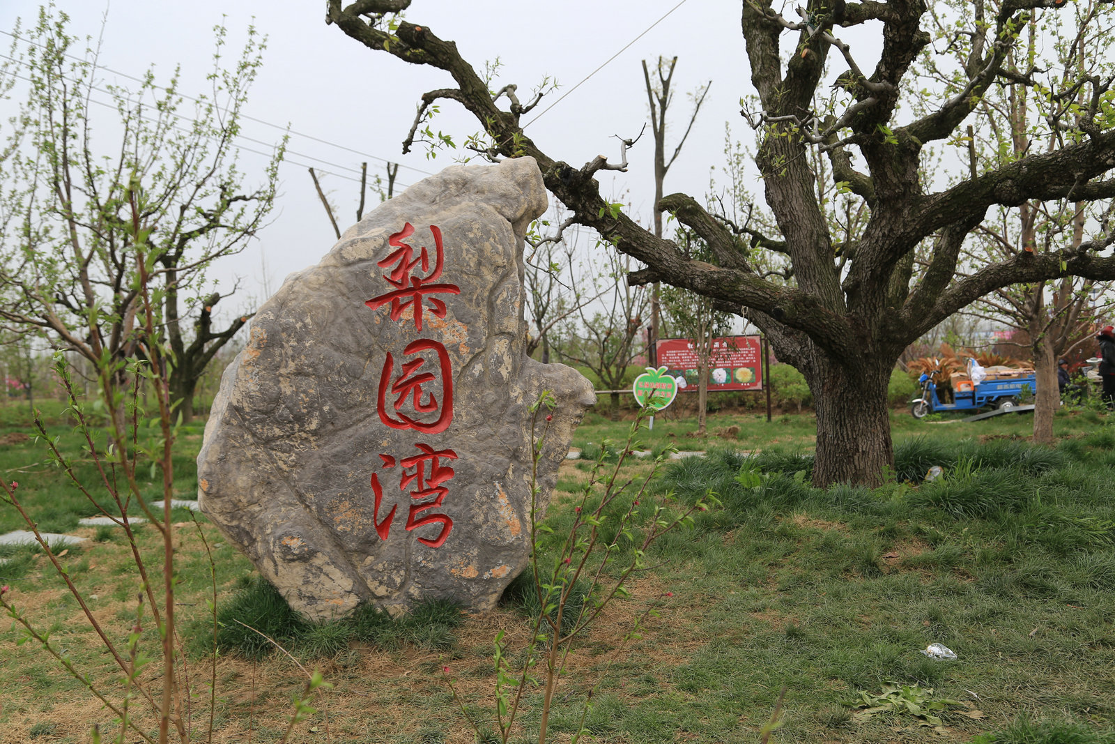  p data-id="gnwracaa56"> b>梨园湾 /b>景区