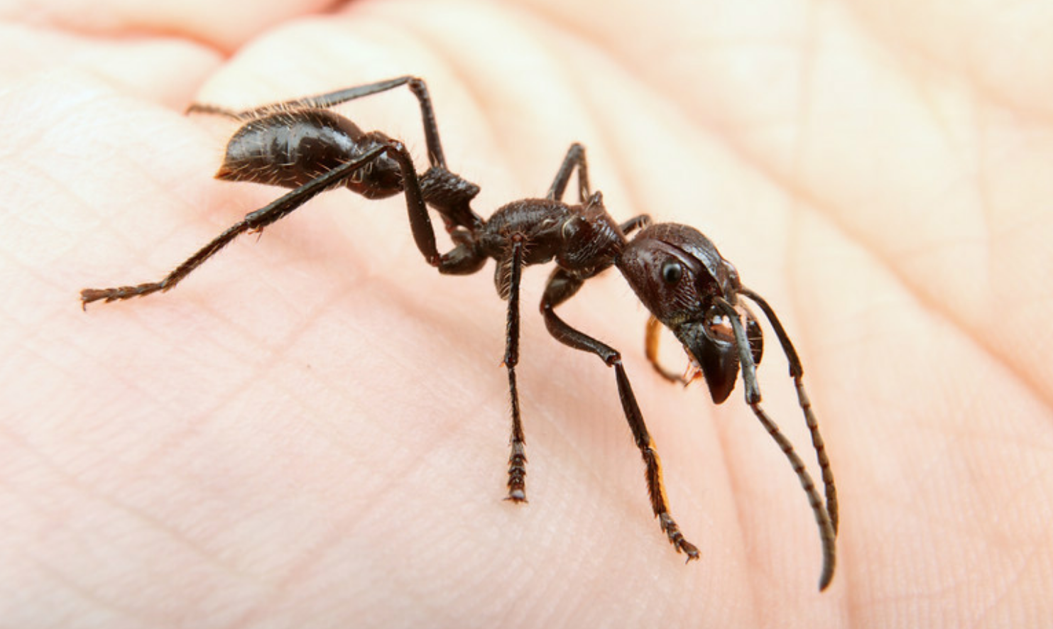 thnvqjwsnh8f"><span class="ref" data