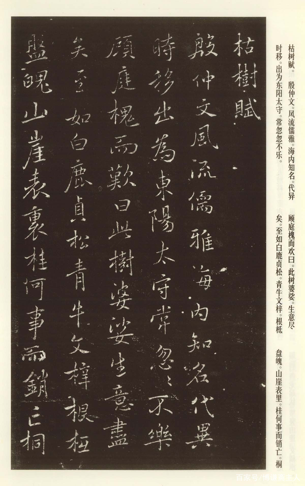重重碎锦，片片真花——褚遂良《枯树赋》书法作品( 大图)_百科TA说
