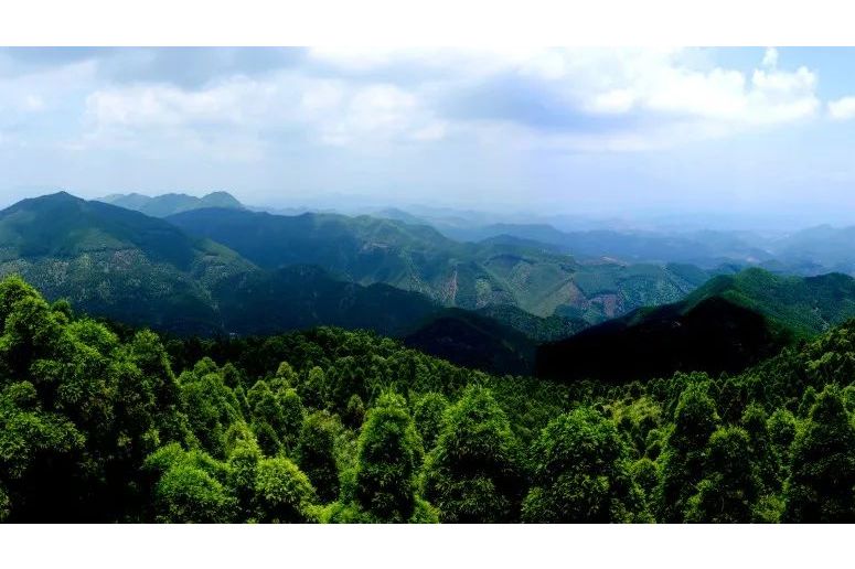 六万大山森林公园