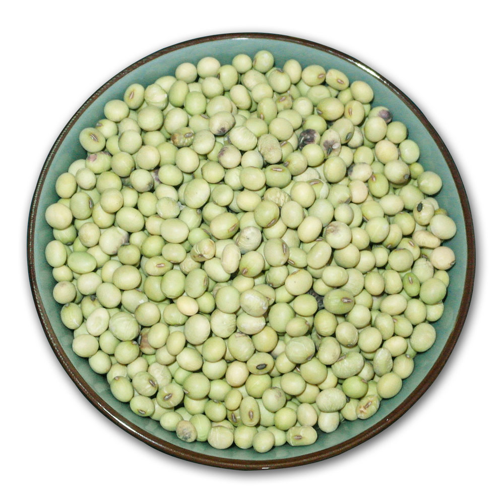 大青皮黄豆