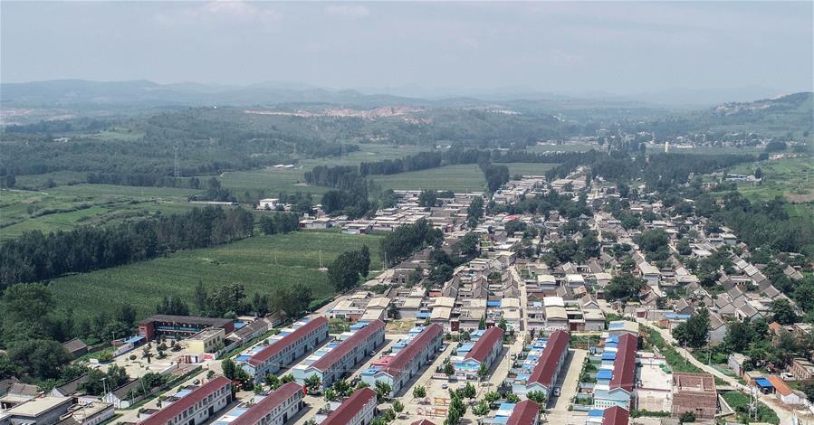 河北省衡水市枣强县大营镇