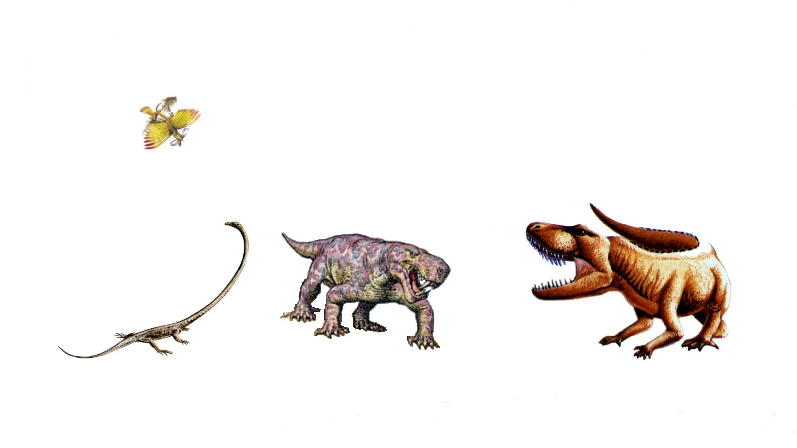 属下孔类的 a target="_blank" href="/item/二齿兽类/504656" data