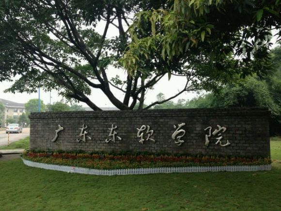 广东东软学院