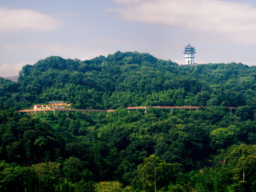 龙岩莲花山栈道
