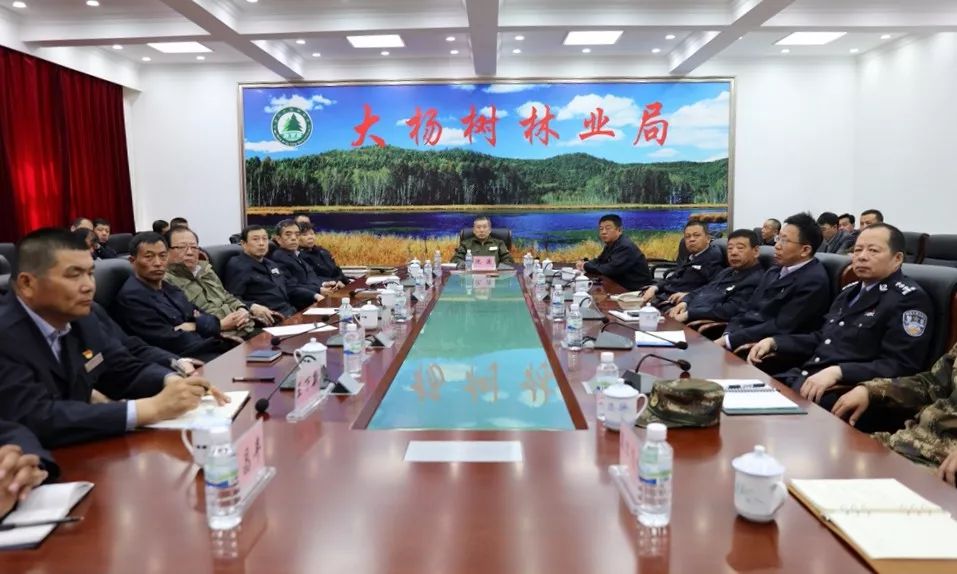大杨树林业局