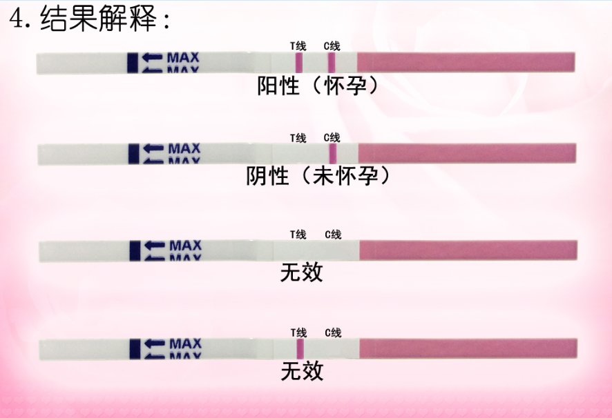  /a>抗体与尿液中之抗原结合而呈现的反应判定怀孕与否的一种验孕剂