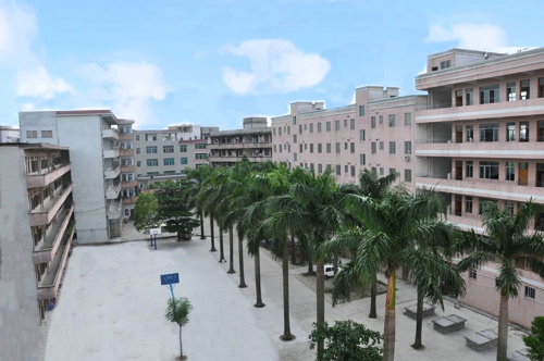 化州市官桥镇中心小学