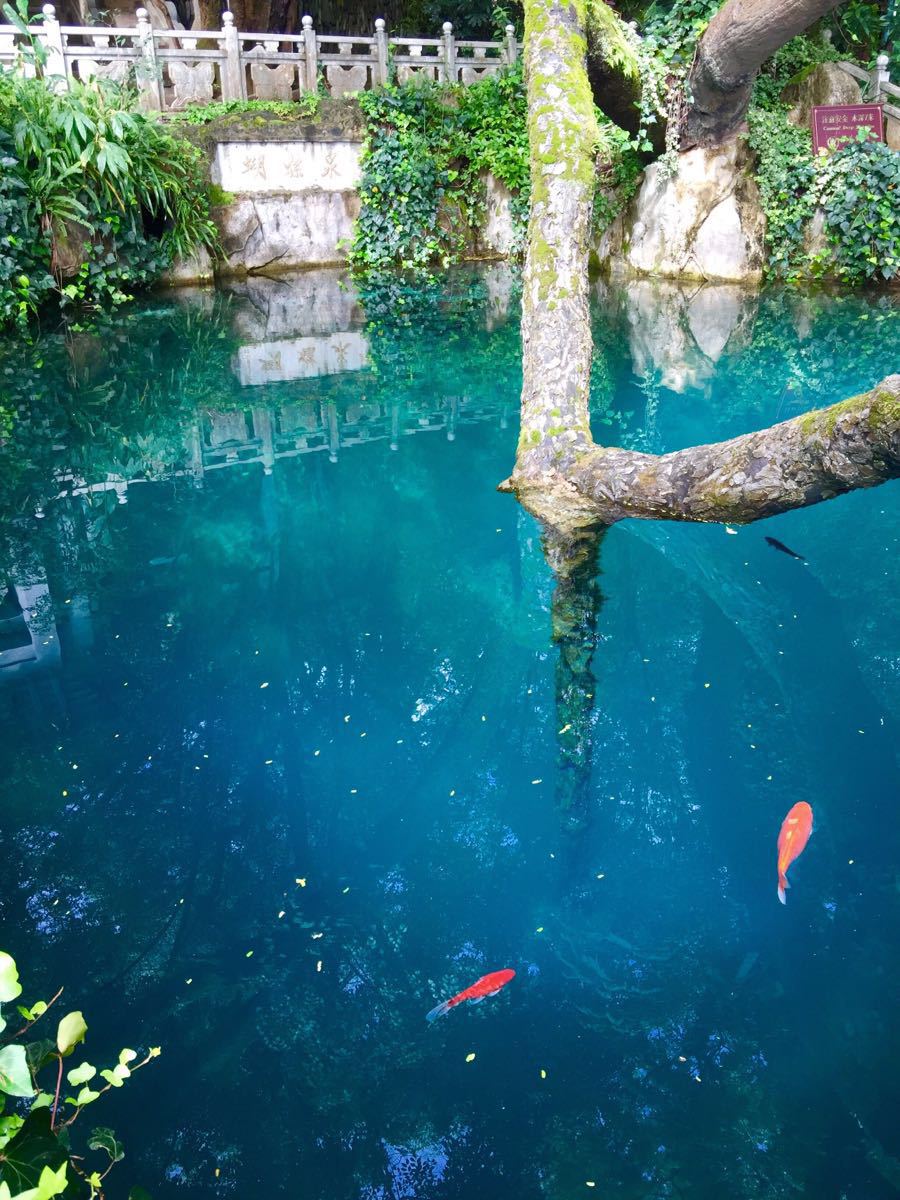 云南大理蝴蝶泉