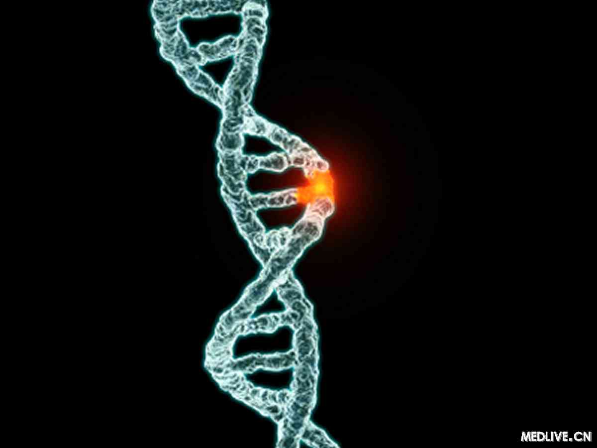  p>基因型,是指某一生物个体全部基因组合的总称.