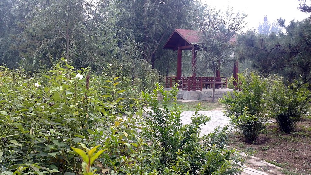 东坝公园