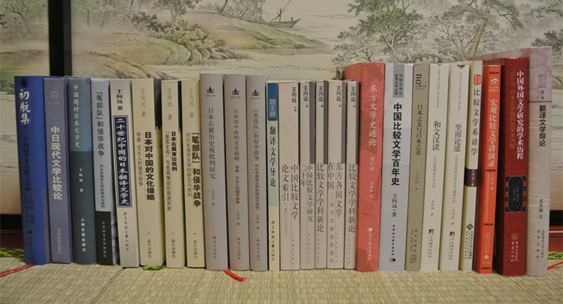 王向远_百度百科