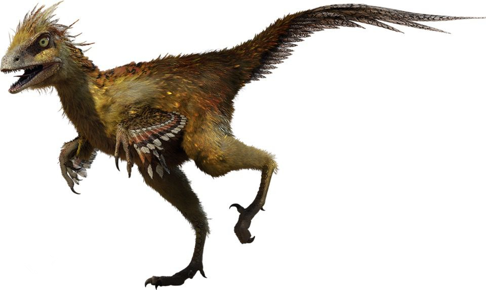  i>hesperonychus /i>)属于驰龙科,是种小型肉食性恐龙