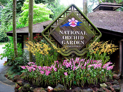 singapore botanic garden