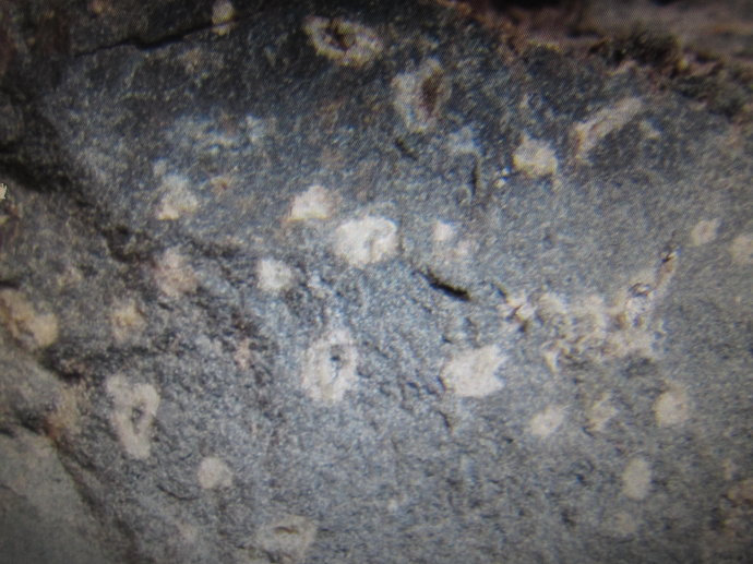  p>斜方辉石(orthorhombic pyroxene)是指辉石族中的一个矿物系列,又