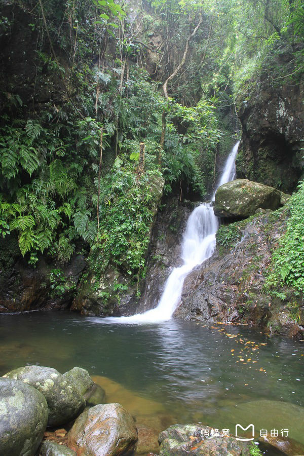  p>大帽山位于福建省龙海市白水镇,海拔794米,系闽南四大名山之一.