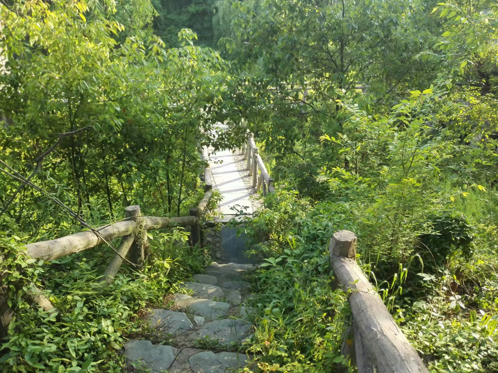 景德镇得雨生态园