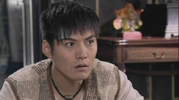 执导, a href="#" data-lemmaid="9794812">严屹宽 /a>主演的电视剧