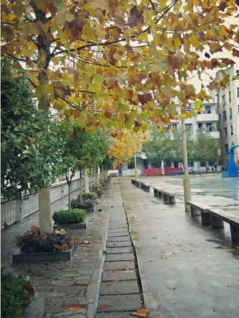 蕲春四中学生会