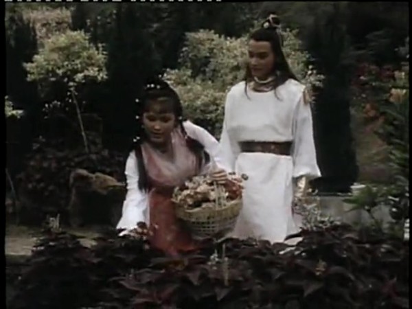 《游侠张三丰》,1981年 a target="_blank" href="/item/亚洲电视